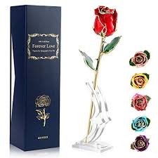 Check spelling or type a new query. Ejoyous 24k Gold Dipped Rose Real Fresh Rose Plated With Gold Symbol Of True Love For Her Wife Women Mother Best Friend Forever On Birthday Wedding Anniversary Thanksgiving Valentine Gold Buy Online
