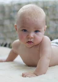 Blue Tulip Photography