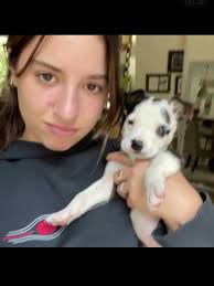 Malibu Dog Mackenzie