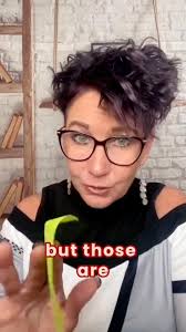 499 COMINGES/ LORETTE,MB $449,900.00 OPEN HOUSE April 9-12:30-2:00pm COME  ON BY ! 4 bed