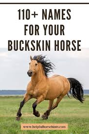 The scheme below shows what happens when two buckskin horses are bred together. 110 Names For Your Buckskin Horse Helpful Horse Hints