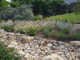 Visit our suppliers directory to locate businesses that sell native plants or seeds or provide professional landscape or consulting services in this state. Fort Worth Landscaper Launches Online Native Plant Store Greensource Dfw