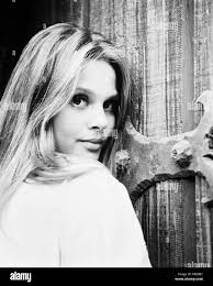 Alice taylor Black and White Stock Photos & Images