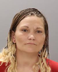 MILBY, THRESIA IRENE Charges: AGGRAVATED CRIMINAL TRESPASS This information  and more is available at https://sheriff.knoxcountytn.gov