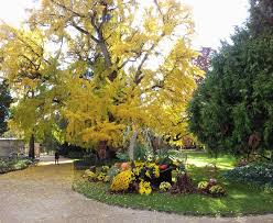 My Loire Valley Le Jardin Botanique De Tours Amenage En Facebook