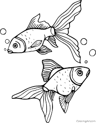 Goldfish coloring page to color, print or download. Two Goldfish Coloring Page Coloringall