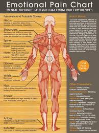 Shocking Graphic The Effects Of Negative Emotions On Your