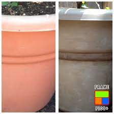 Pin By Lynne Wilkinson On Chalk Paint Painting Plastic Plastic Flower Pots Annie Sloan Chalk Paint