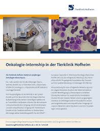 Was ist das motivationsschreiben in österreich? Tierklinik Hofheim Added A New Photo Tierklinik Hofheim