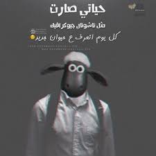 رمزيات مضحكة للفيس بوك والانستقرام صور رمزيات مضحكة مكتوب عليها نكت للواتس اب Funny Arabic Quotes Funny Pictures Funny Jokes