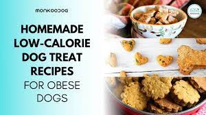 These healthy homemade dog treats are the simplest thing to make and so good for your dog. Homemade Low Calorie Dog Treats For Obese Dogs Monkoodog