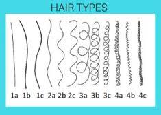 57 Best Hair Type Chart Images Hair Type Chart Hair Type