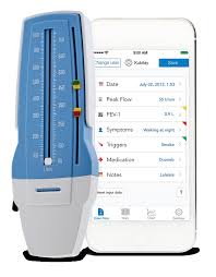 Asthmamd Peak Flow Meter Mada Medical