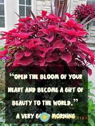 Pin On Good Morning