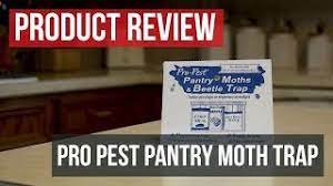 The traps are great tools for both monitoring and mass. Pro Pest Pantry Moth Beetle Traps Solutions Pest Lawn