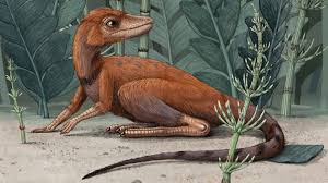 Velociraptor Wallpaper 1920x1080 Download Hd Wallpaper Wallpapertip 17 free images of velociraptor. velociraptor wallpaper 1920x1080