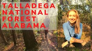 Before it was bought by the federal government in the 1930s. Hiking Alabama S Talladega National Forest Youtube