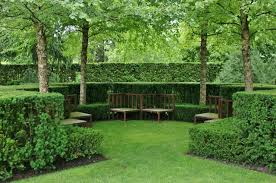 The best shrubs for privacy grow densely, require little maintenance and block a view completely. Do You Need Some Privacy From The Neighbors Tips On What Trees Shrubs And Hedges To Use When Creating Privacy For Your Yard