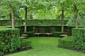 I was surprised when visiting seattle i was seeing them around also. The 7 Best Plant Types For Creating Privacy And How To Use Them