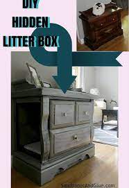 Cat Owners 12 Ways To Hide A Litter Box In Plain Sight Litter Box Furniture Diy Litter Box Hidden Litter Boxes