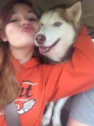 Lost Dog: 3-Year-Old Neutered Microchipped Male