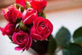 Wann ist valentinstag 2018, ja viele wissen es leider nicht, aber kaum ein anderer tag ist bei liebenden begehrter als der valentinstag. Valentinstag Weltweit Brauche Und Sitten Geolino