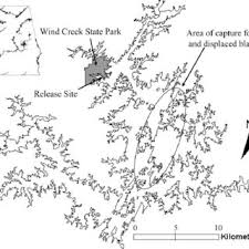 If you've never been, you can't miss this trip. Map Of Lake Martin Alabama Showing The Study Area Near Wind Creek Download Scientific Diagram