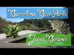 Dieser botanische garten in barcelona ist in 5 verschiedene bereiche unterteilt, je nach den unterschiedlichen standorten, von denen die bäume und blumen stammen. Botanischer Garten In Barcelona Jardi Botanic Lohnt Er Sich
