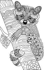 Bear head to print and color. Get This Adult Coloring Pages Animals Bear 2