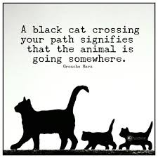 577 Motivational Inspirational Quotes About Life 55 Inspirational Quotes Motivation Inspirational Quotes With Images Inspiring Quotes About Life