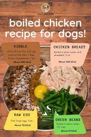 Boiled Chicken For Dogs Recipe With Green Beans Yuna The Labrador Healthy Dog Food Homemade Raw Dog Food Diet Raw Dog Food Recipes