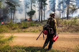 Check spelling or type a new query. With Nearly 1 Million Homes At Risk Washington Is Losing The Wildfire Fight Investigatewest