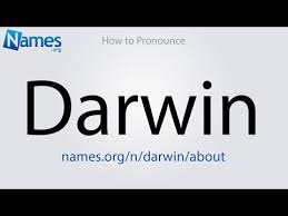 What Does The Name Darwin Mean?