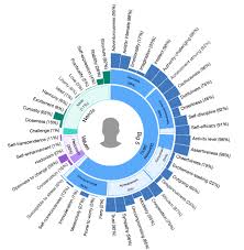 personality sunburst chart npm