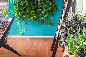 This patio wall features a swooping design that was prevalent in other indoor vertical garden scape design concepts. Vertical Garden Ideas How To Create An Indoor Or Outdoor Vertical Garden Apartment Therapy