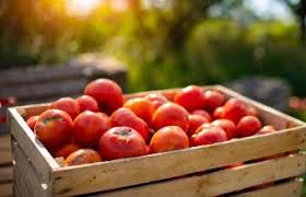 Most fruit trees take a long time to start bearing fruit, but there are some varieties that will give you you can unsubscribe at any time. Fastest Growing Fruits And Vegetables Lovetoknow