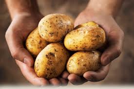 While potatoes have a high glycemic index that can cause spikes and drops in blood sugar, they also have potassium, vitamin c. All About Potatoes