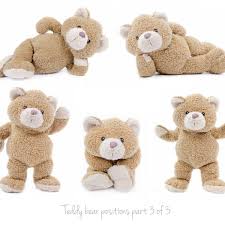 Teddy synonyms, teddy pronunciation, teddy translation, english dictionary definition of teddy. Cuddly Parasites How Teddy Bears Got Their Claws Into Children