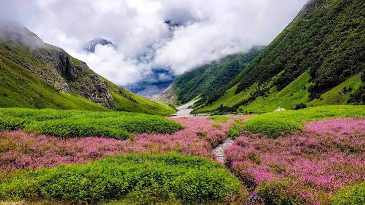 Nanda Devi & Valley of Flowers (Uttarakhand) Image 1
