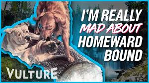Take one cat and two dogs who comically converse among themselves in human voices, separate them from their humans, and send them off on a 1. How Did The Cat From Homeward Bound Survive Mad About It Youtube