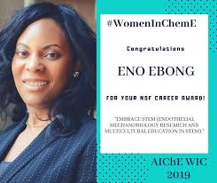 Bryan Goldsmith is one of more than 100 early-career professionals  recognized through AIChE's 35 Under 35 Awards for their leadership and  impact in chemical engineering. Catch up with past awardees and learn