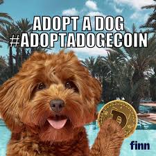 Doge background ·① download free cool wallpapers for desktop and mobile devices in any. Finn To Boost Dog Adoptions To The Moon With Dogecoin Cryptocurrency Adsofbrands Net