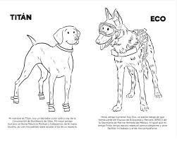 Por qué se producen los terremotos. El Libro Para Colorear Que Recoge A Todos Los Perros Heroes Del Terremoto De Mexico Por El Ojo De La Cerradura Periodico Digital Dominicano