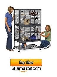Best Sugar Glider Cages For Sale Large Small Cheap Reviews 2020 Sugar glider cage accessories and toys for sale. best sugar glider cages for sale