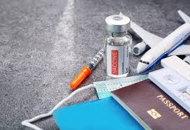 Image result for Travel Immunization