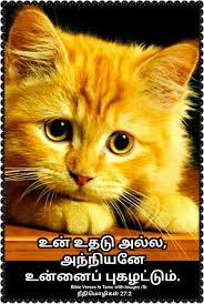 Pin On Bible Verses In Tamil