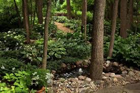 Plants that can tolerate salt exposure are more likely to thrive. Gardening With Walnut Trees What Is Safe To Plant The Gazette
