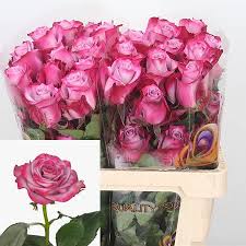 You can easily find the perfect bouquet of purple flowers online as online florists like flowers24hours.co.uk, have their arrangements sorted. Rose Deep Purple Ecuador 50cm Wholesale Dutch Flowers Florist Supplies Uk