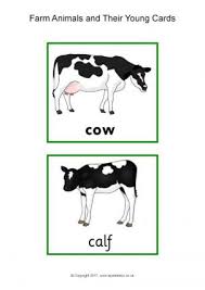 Just like your kid must know names of animals and their young ones, they must also be aware of birds and their young ones. Animals And Their Young Printables For Primary School Sparklebox