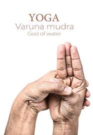Pin On Mudras